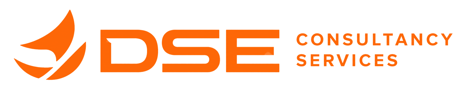 DSE Consultancy Services